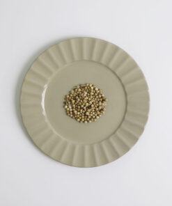 白胡椒粒_White Peppercorns