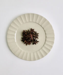八角粒_Star Anise