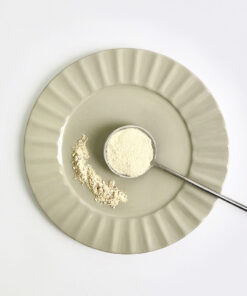 洋蔥粉_Onion Powder"