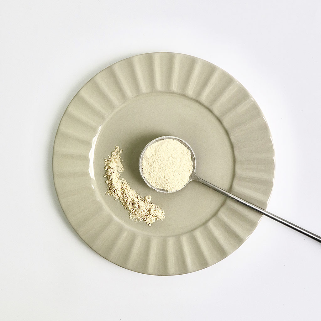 洋蔥粉_Onion Powder"