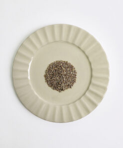 大茴香子_Anise Seed