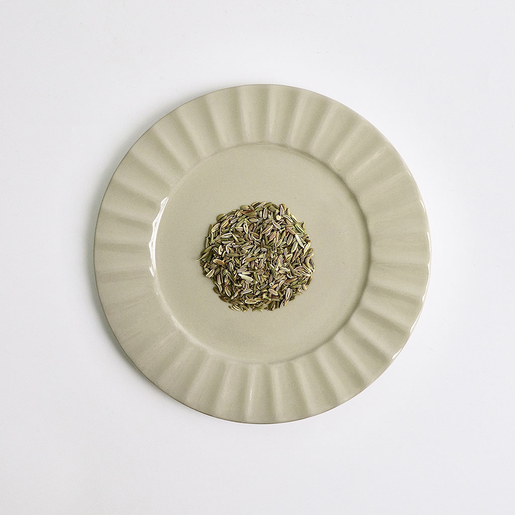 茴香子_Fennel Seeds