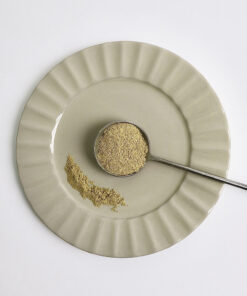 茴香粉_Fennel Powder